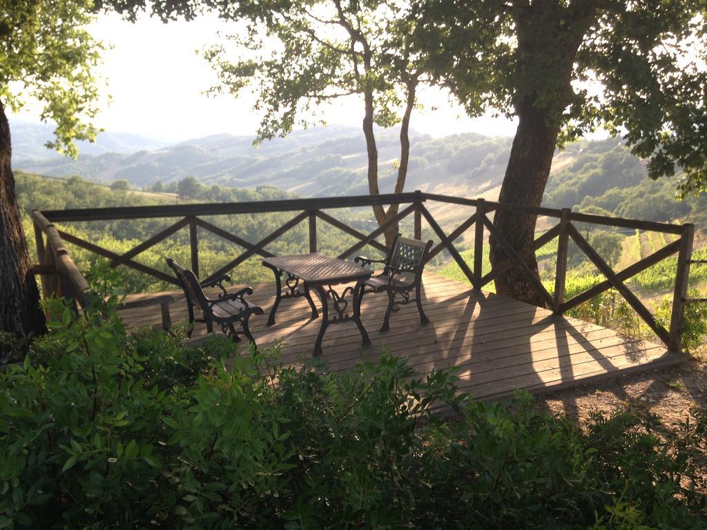 卡索莱代尔萨Agriturismo Erta别墅 外观 照片