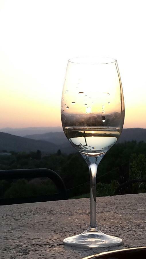 卡索莱代尔萨Agriturismo Erta别墅 外观 照片