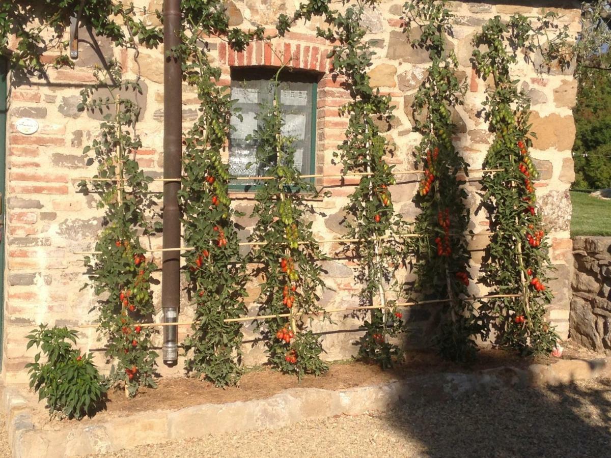 卡索莱代尔萨Agriturismo Erta别墅 外观 照片